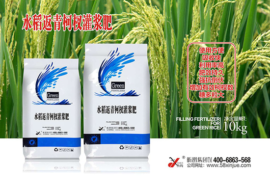 水稻返青柯杈灌浆肥