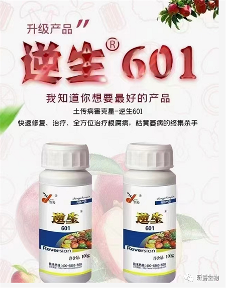 最 强的生物菌逆生601，能治90%的土传病害！