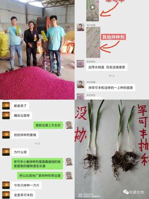 抗旱的营养型小麦拌种剂，你会选择吗？