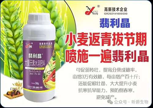 小麦春管进入关键期！快用追肥新产品翡利晶