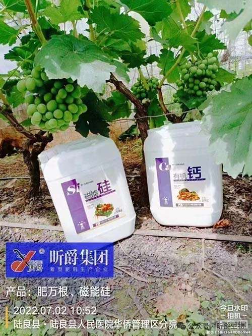 昕爵有机磁能酸性硅肥到底有啥不一样？